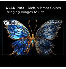 TCL 50” Q6 QLED 4K Smart Google TV – $249