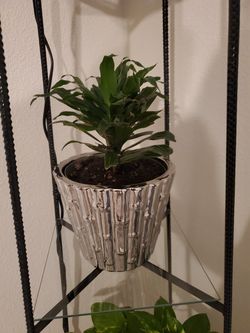 Silver colored vase (8 1/4")