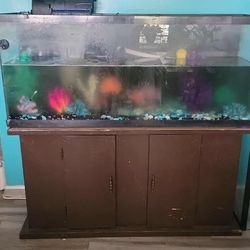 Fish Tank And Reptile Tank For Sale You Pick Up