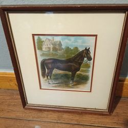 Antique Horse Picture And Frame