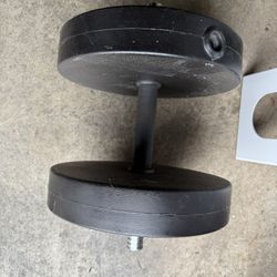 20 Lbs Dumbbells 