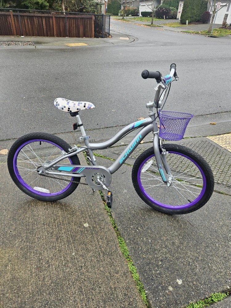 Kids Bike Schwinn Astrid 20", Hand And Foot Brakes, 4-10 Years, Very Good Condition