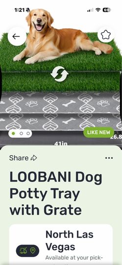 Dog potty tray