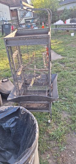 Iron Bird Cage 