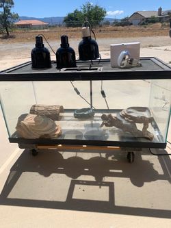 Reptile 50 gal. Starter kit