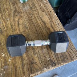 20 Lb Dumbbell 