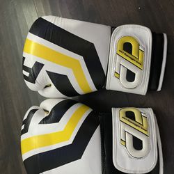 12oz Boxing Gloves 