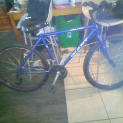 Blue Upland GIANT Bike