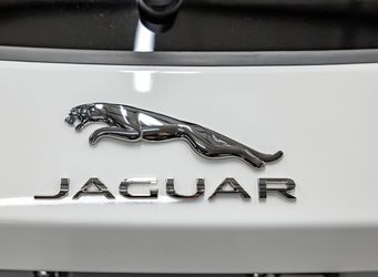 New Jaguar badge emblem black or chrome adhesive back 18.5cm