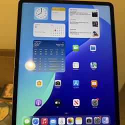 iPad 12.9 Gen 6th , 256g , Cellular +wifi. So Nice 