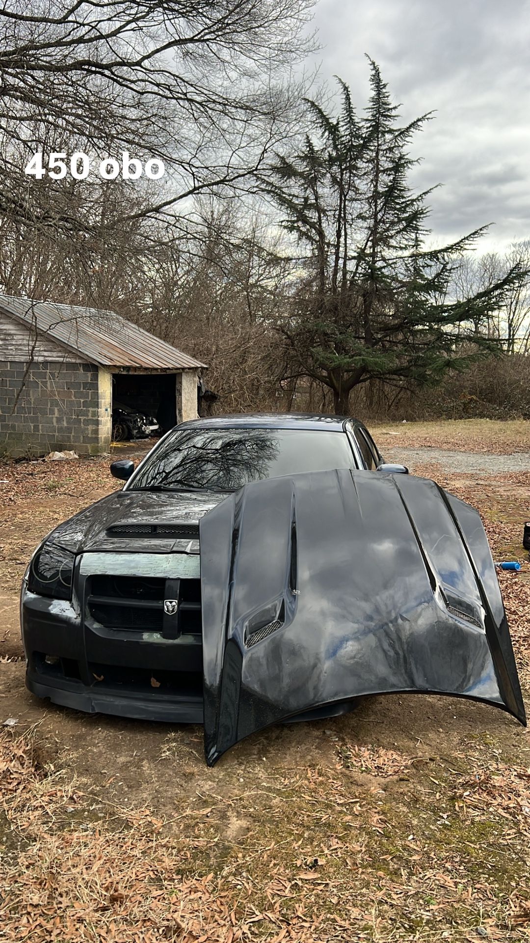 2005 Dodge Magnum Challenger Style Hood