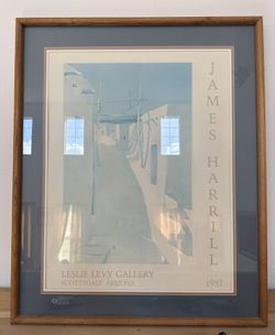 Large Framed Print