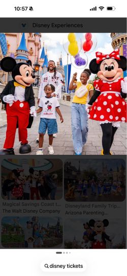 Disney ticket