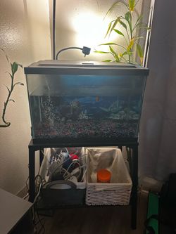 Aquarium 20 Gallon and stand with 1 gold fish