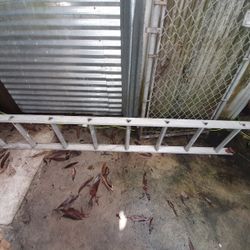 8ft Aluminum Straight Ladder