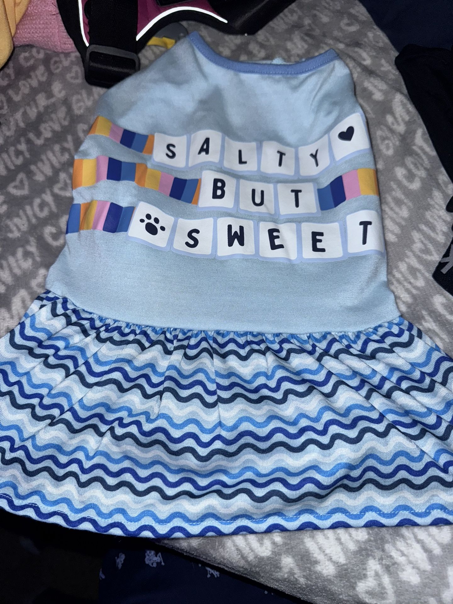 Top Paw Salty Sweet Dress