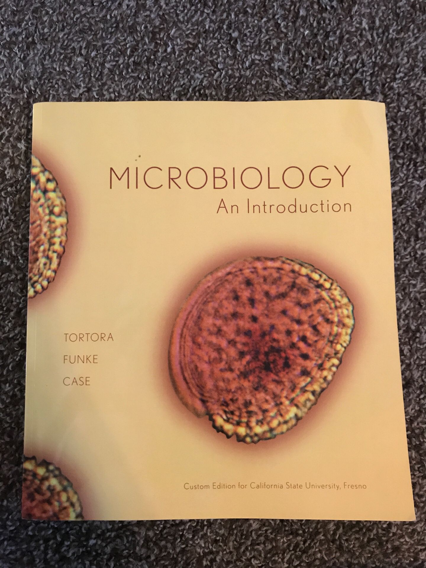 Microbiology introduction