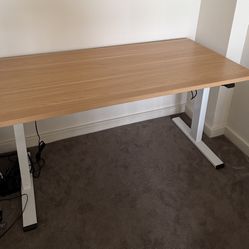 Flexispot Standing Desk (Whole Piece)