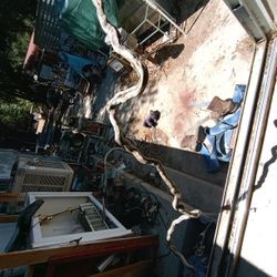 Rare Root Art Driftwood  Bird Or Lizerd Stoops..