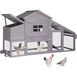 4 Laying Hens + Mobile Chicken Coop on Wheels 