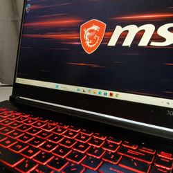 MSI Professional Gaming Laptop