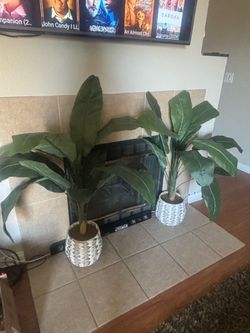 Plants artificial