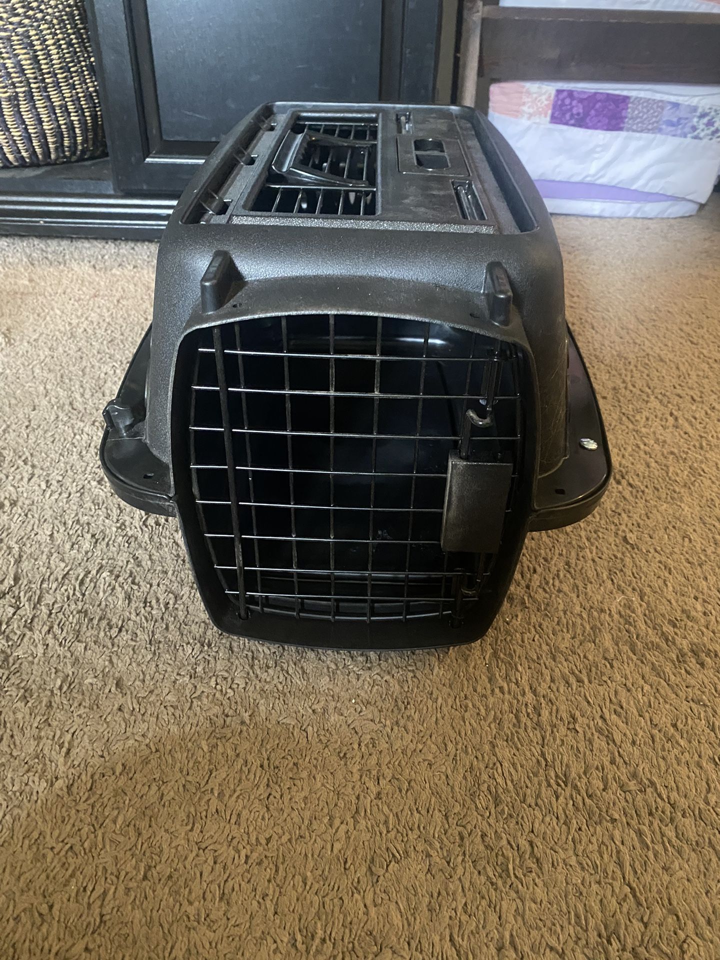 Small animal carrier