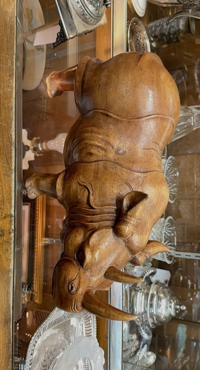 Rhinoceros