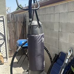 Everlast Punching Bag