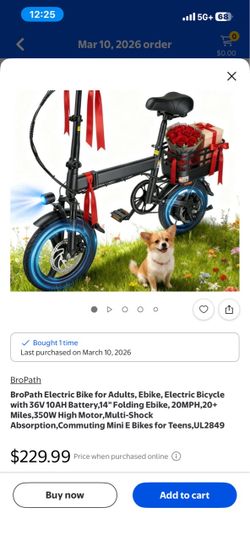e bike