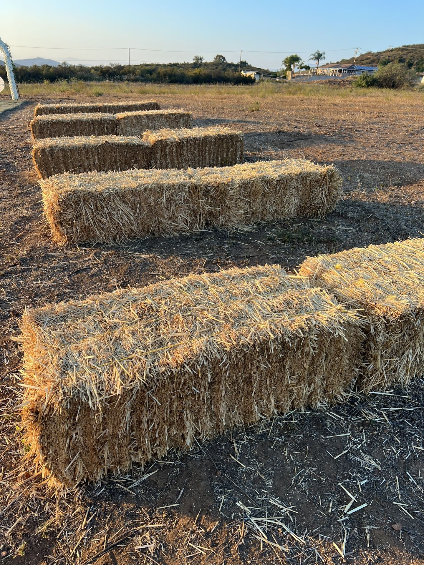 Straw Bales $10.00 Each 20 Available