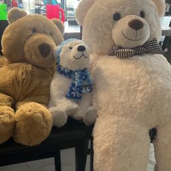 Bears