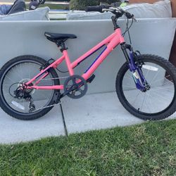 20 Inch Girls Bike - Nishiki Pueblo 