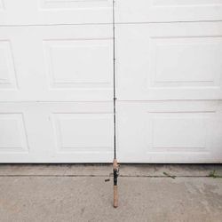 Fishing Pole With Reel 