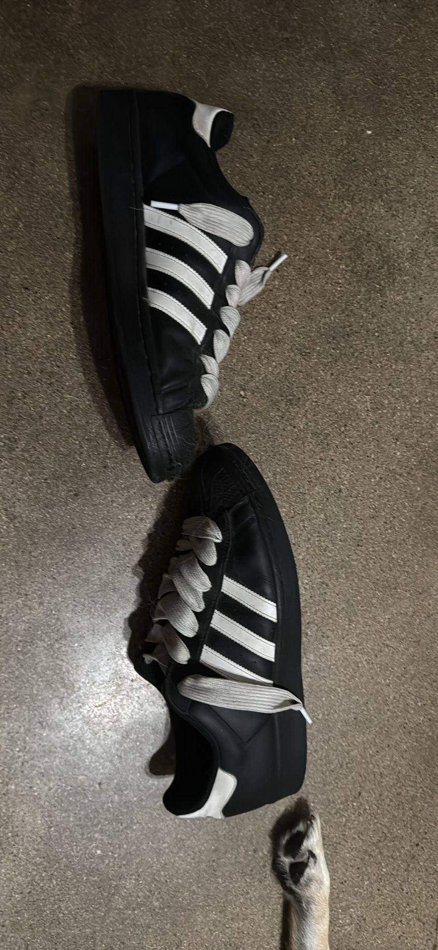 Chunky Superstar Adidas Size 11 1/2