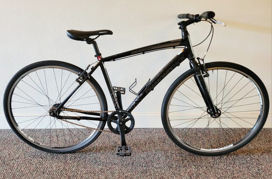 Diamondback Insight 19"