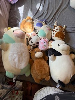 Cow squishmallow bundle