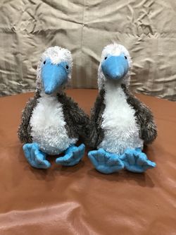 Gund Blue Footed Booby