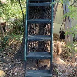 5’5 Heavy Duty playground Ladder