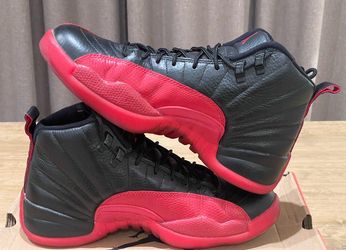 Jordan 12 Flu game