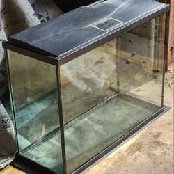 Free 40 Gallon Aquarium / Terrarium 