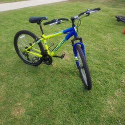 Mongoose Scepter- 24 Inch Tire