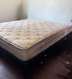 Free bed