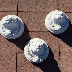 Lion Head Wall Plaque