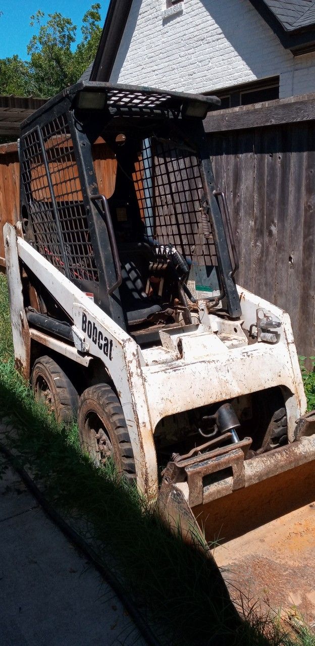 bobcat