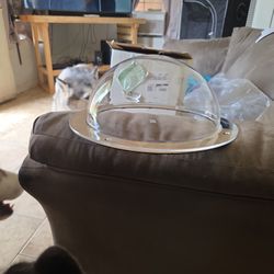 Doggie Window