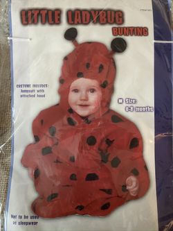 Little lady bug bunting