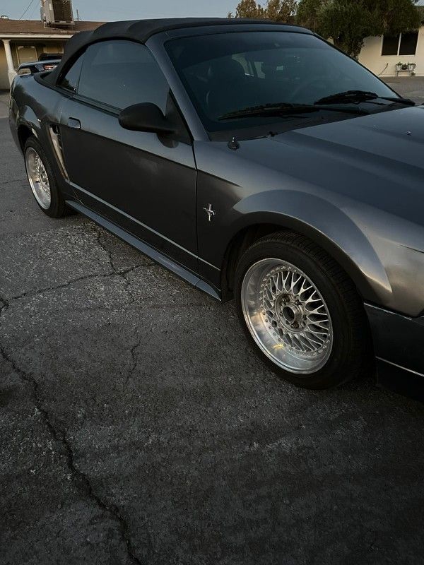2003 Mustang 