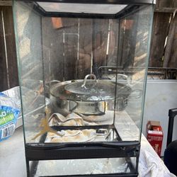 Crested Gecko tank 12x19