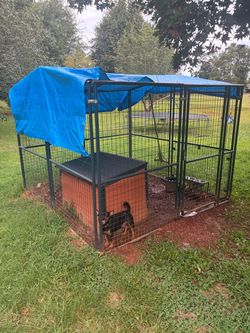 Dog cage 10 ft
